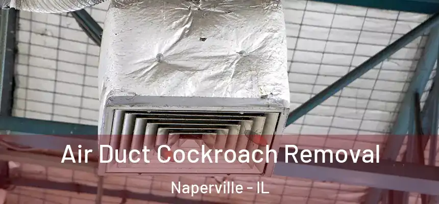 Air Duct Cockroach Removal Naperville - IL