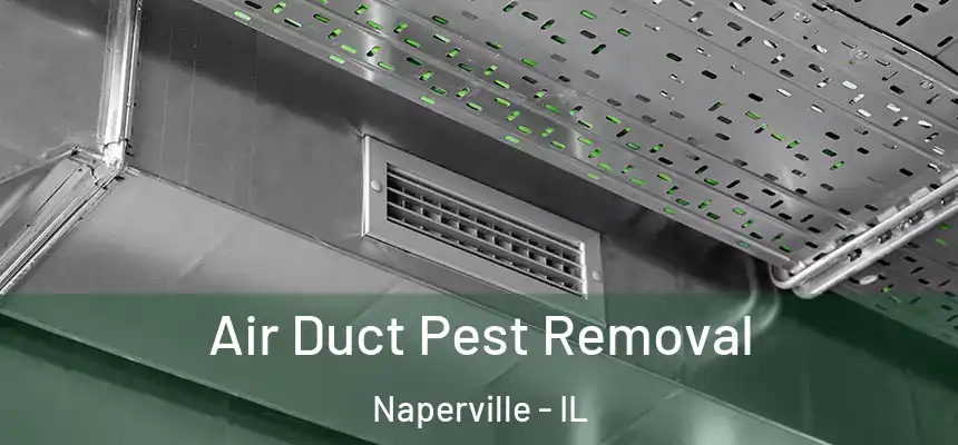  Air Duct Pest Removal Naperville - IL