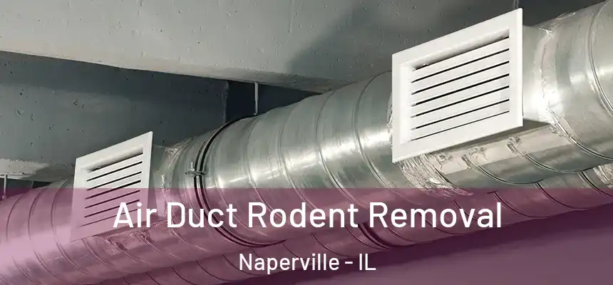  Air Duct Rodent Removal Naperville - IL