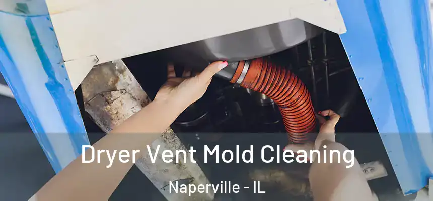 Dryer Vent Mold Cleaning Naperville - IL
