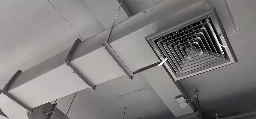 Restorative Allergy Relief Vent Cleaning – Coil, Blower & Housing Detail in Naperville