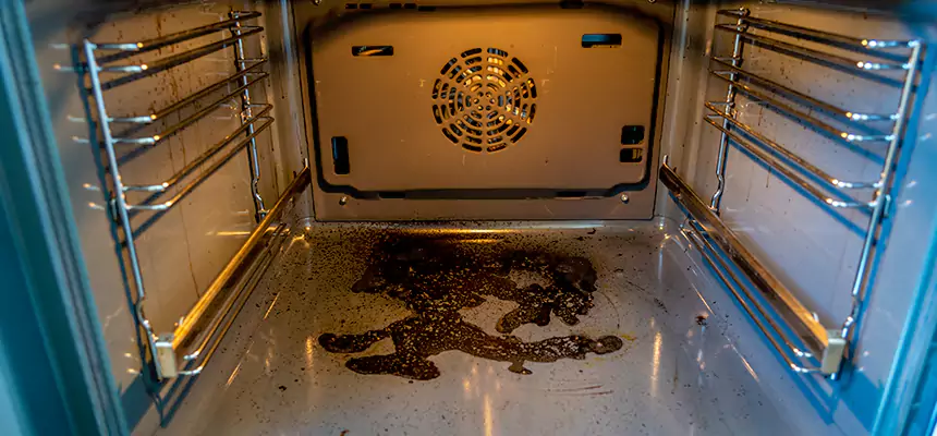 Our Dryer Vent Mold Cleaning Services in Naperville, IL