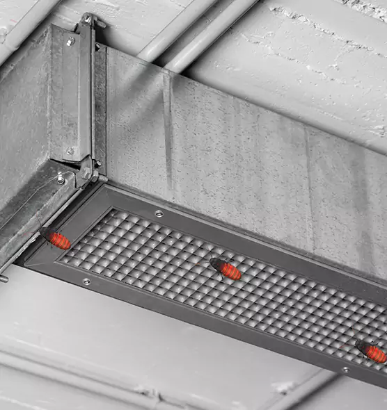 About Air Duct Cockroach Removal in Naperville, IL