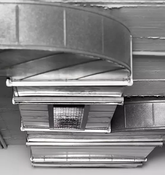 Professional Air Duct Pest Removal in Naperville, IL