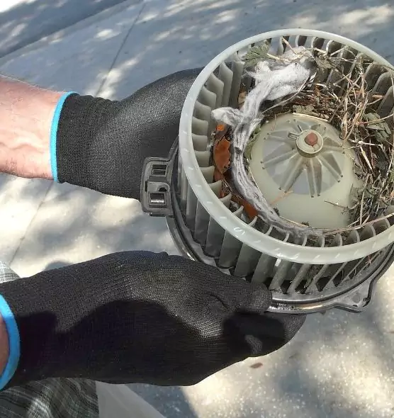 About Air Duct Rat Removal in Naperville, IL