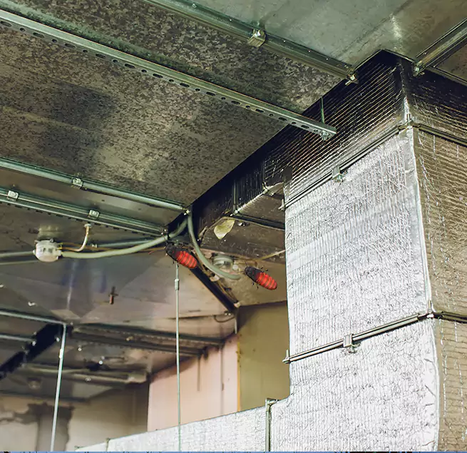 Why Homeowners & Businesses Trust Us in Naperville, IL?