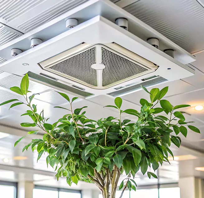 Why Homeowners & Businesses Trust Us in Naperville, IL?