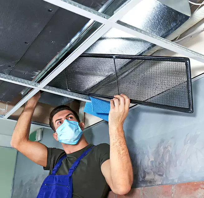 Why Homeowners Businesses Trust Us in Naperville, IL