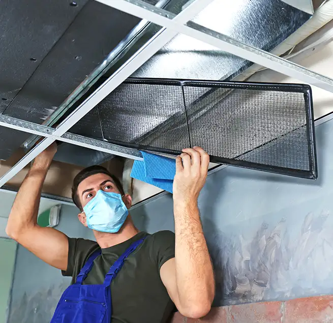 Why Homeowners & Businesses Trust Us in Naperville, IL?